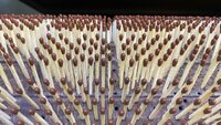 Royal Eagle Matches