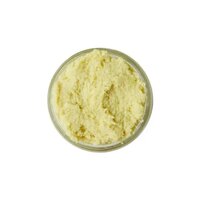 Fresh Ginger Paste - Grade: First Class