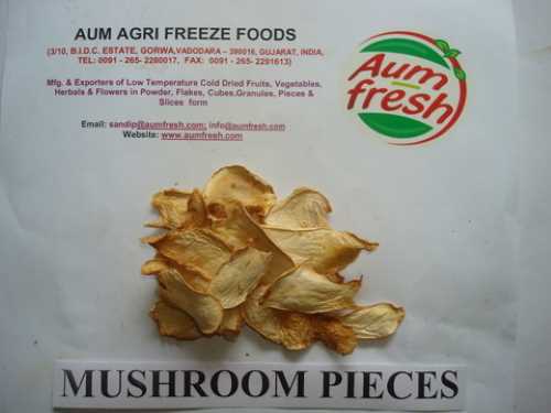 Freeze Dried Mushroom Pieces