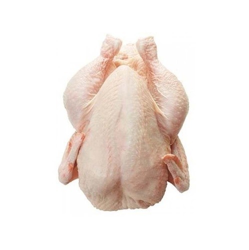 TOP QUALITY HALAL WHOLE FROZEN CHICKEN HALAL FROZEN WHOLE CHICKEN BEST RATE FROZEN WHOLE CHICKEN