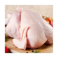 TOP QUALITY HALAL WHOLE FROZEN CHICKEN HALAL FROZEN WHOLE CHICKEN BEST RATE FROZEN WHOLE CHICKEN