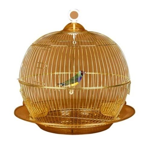 Round Golden Bird cage