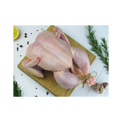 CHICKEN KIEV DELIGHT style Frozen chicken for sale