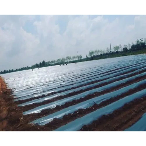 Transparent Agriculture Mulching Film