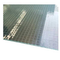 Transparent Wired Glass - 10mm Thickness, Various Sizes | Silver Plain Patterned Safety Glass For Industrial Applications