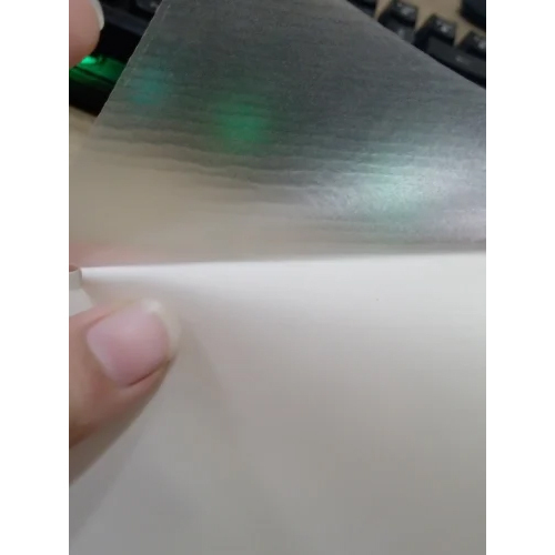 Transparent Wood Back Skin