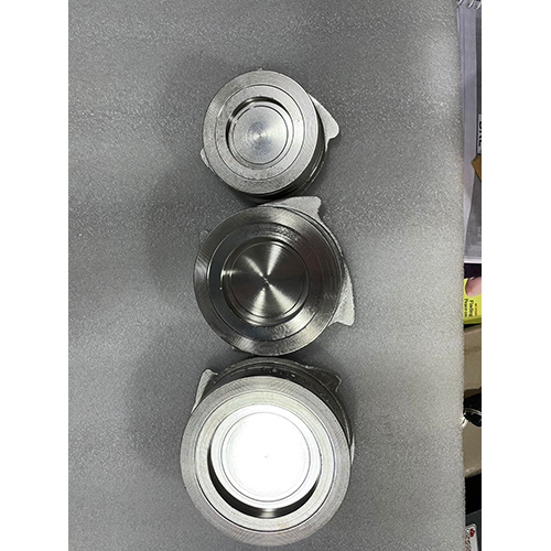 Disc Check Valve