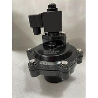 Pulse Solenoid Valve - Black Finish | Industrial Usage For Optimal Performance