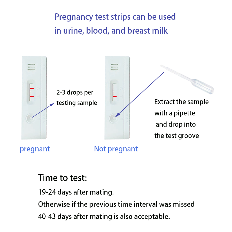 40pcs Carryable Storable cattle pregnancy test kit white 4.92inch disposable Bovine pregnancy test kit
