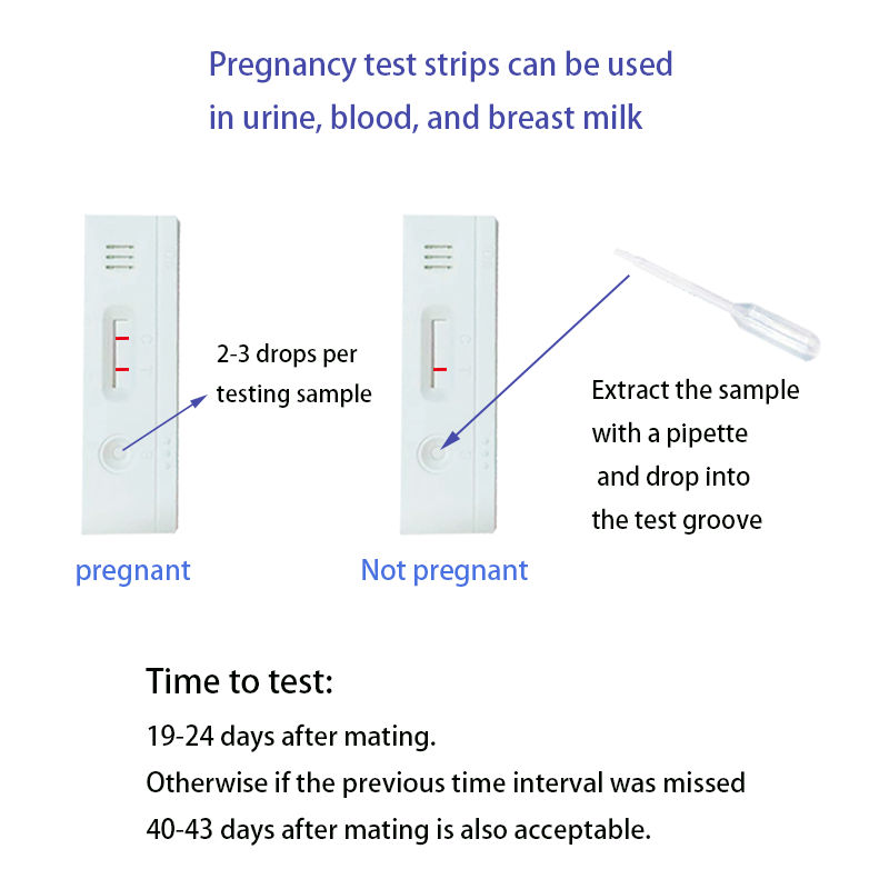 40pcs Carryable Storable cattle pregnancy test kit white 4.92inch disposable Bovine pregnancy test kit