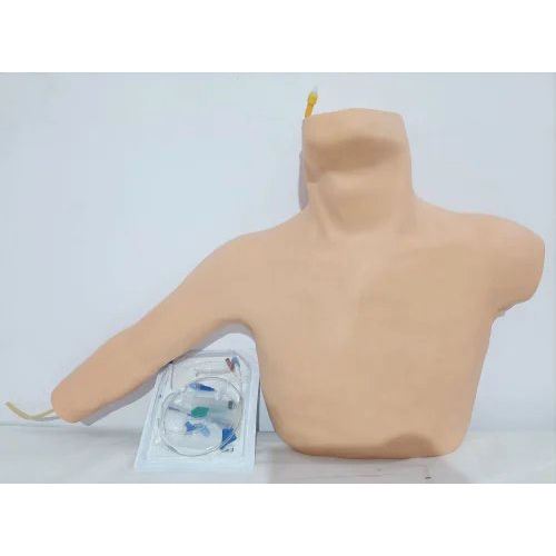 Central Venous Catheterization Simulator