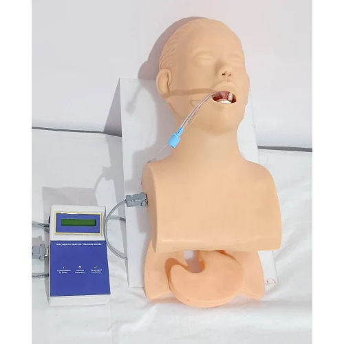 Airway Intubation Simulator