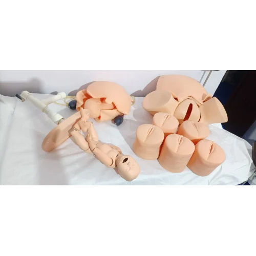 Advance Abdominal Palpation Model