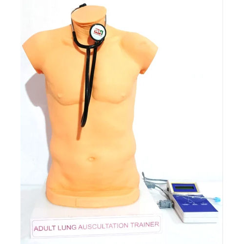 Adult Lung Auscultation Trainer Application: Hospital