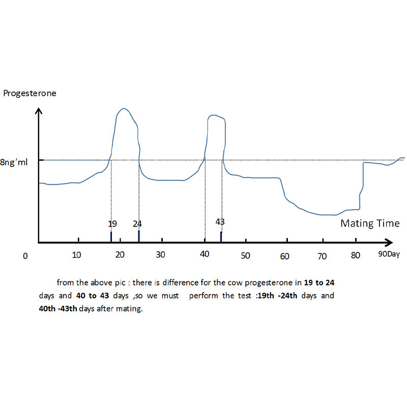 20pcs High quality bovine pregnancy test kit white Reliable and accurate