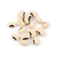 Non-GMO Black white Eye Cowpea Beans for sale in good price