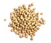 Kabuli Chickpeas for Sale Dried Raw White Original Crop Bulk