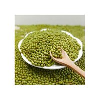 Green Mung Beans Wholesale High Quality Green Vigna Mung Beans