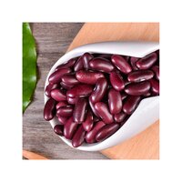 Red Kidney Beans For Sale Top Grade Wholesale Red kidney Beans For Sale In Cheap Price