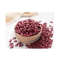 Red Kidney Beans For Sale Top Grade Wholesale Red kidney Beans For Sale In Cheap Price