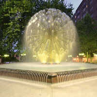 Any Color Peacock Water Fountain