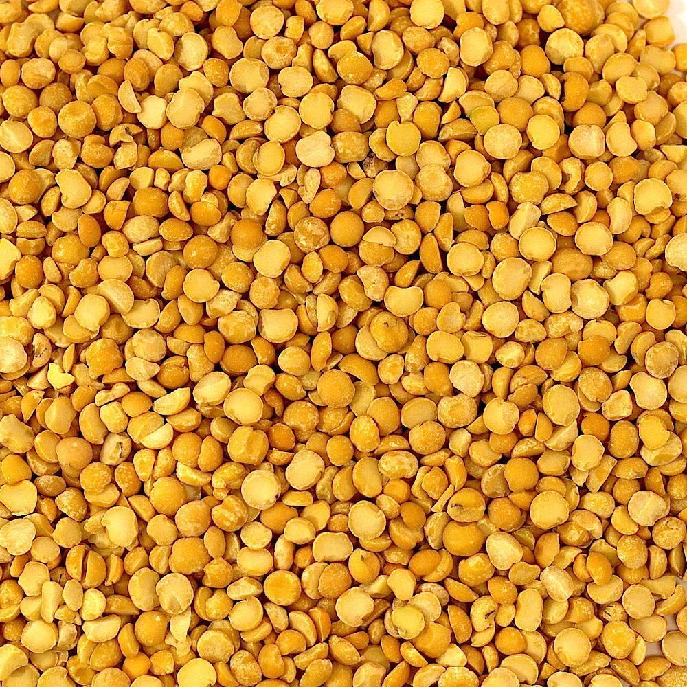 Split Too Dal Yellow Split Lentils Arhar Dal Available For Sale