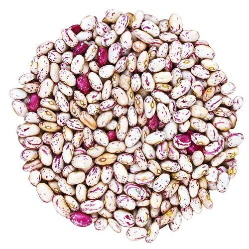 wholesale Dried Light Speckled Kidney Beans Cranberry Beans