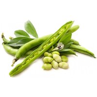 Fried Fava Beans Salted Broad Beans Snack