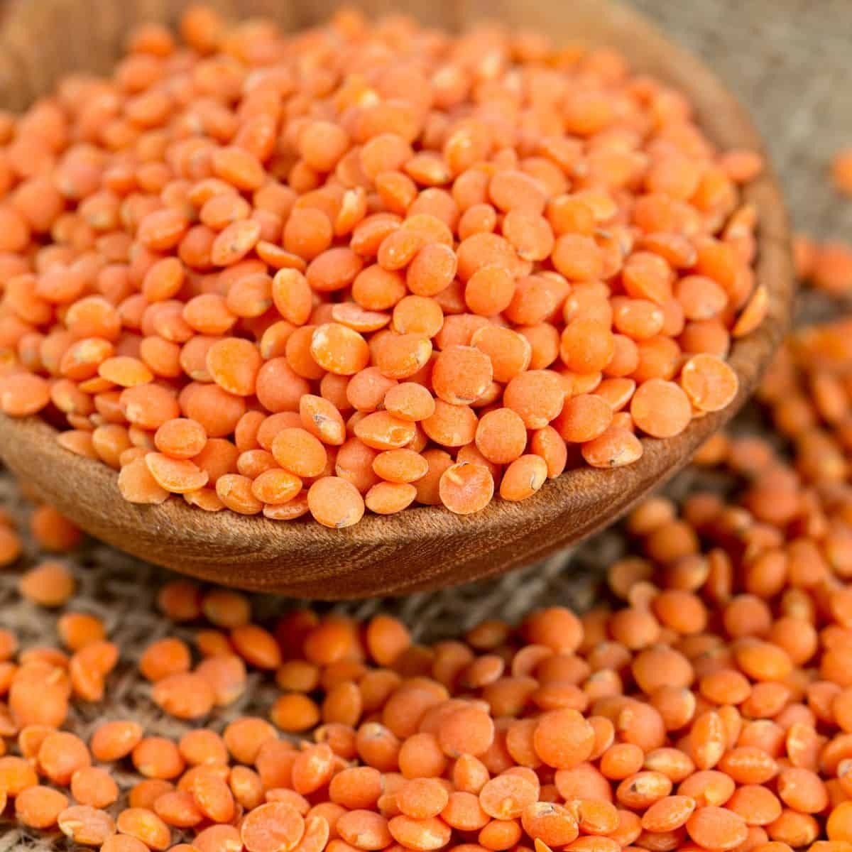 BULK RED LENTILS/ CANADIAN RED LENTILS/ BUY NOW RED LENTILS