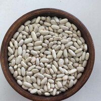 Navy Beans Haricot Beans White Beans (White Rajma)