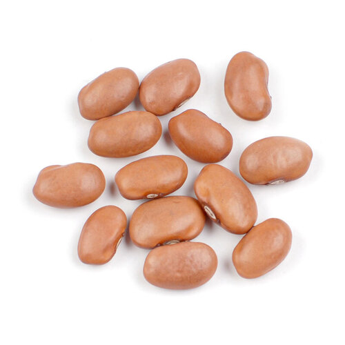 Wholesale Natural Organic First Pink Beans