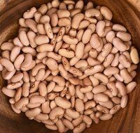 Wholesale Natural Organic First Pink Beans