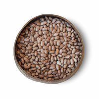 Light Speckled Kidney Beans /Pinto Beans for sale