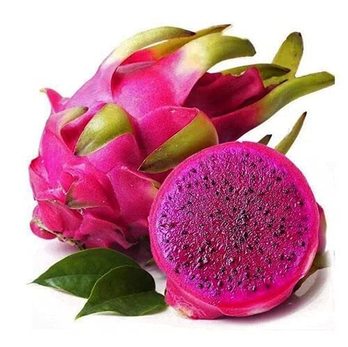 Wholesale 100% Natural and Organic Red Dragon Fruit Powder with Low Price