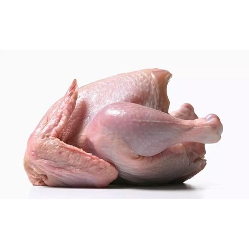 Frozen Fresh Chicken Quality Frozen Whole Halal Chicken