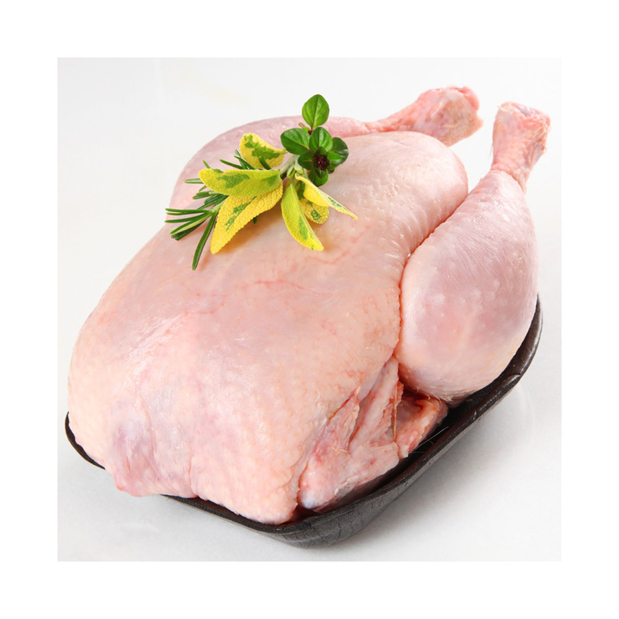 Frozen Fresh Chicken Quality Frozen Whole Halal Chicken