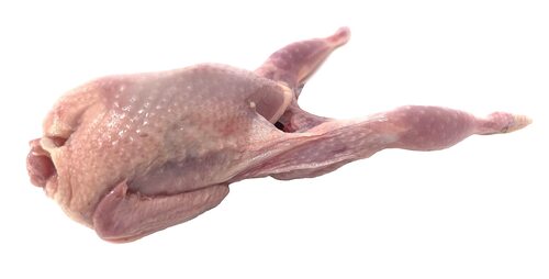 in wholesale price frozen chicken for sale