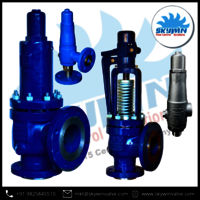 SKYWIN Industrial Safety Relief Valve