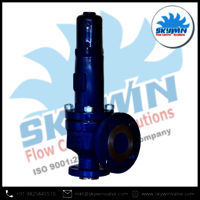 SKYWIN Industrial Safety Relief Valve