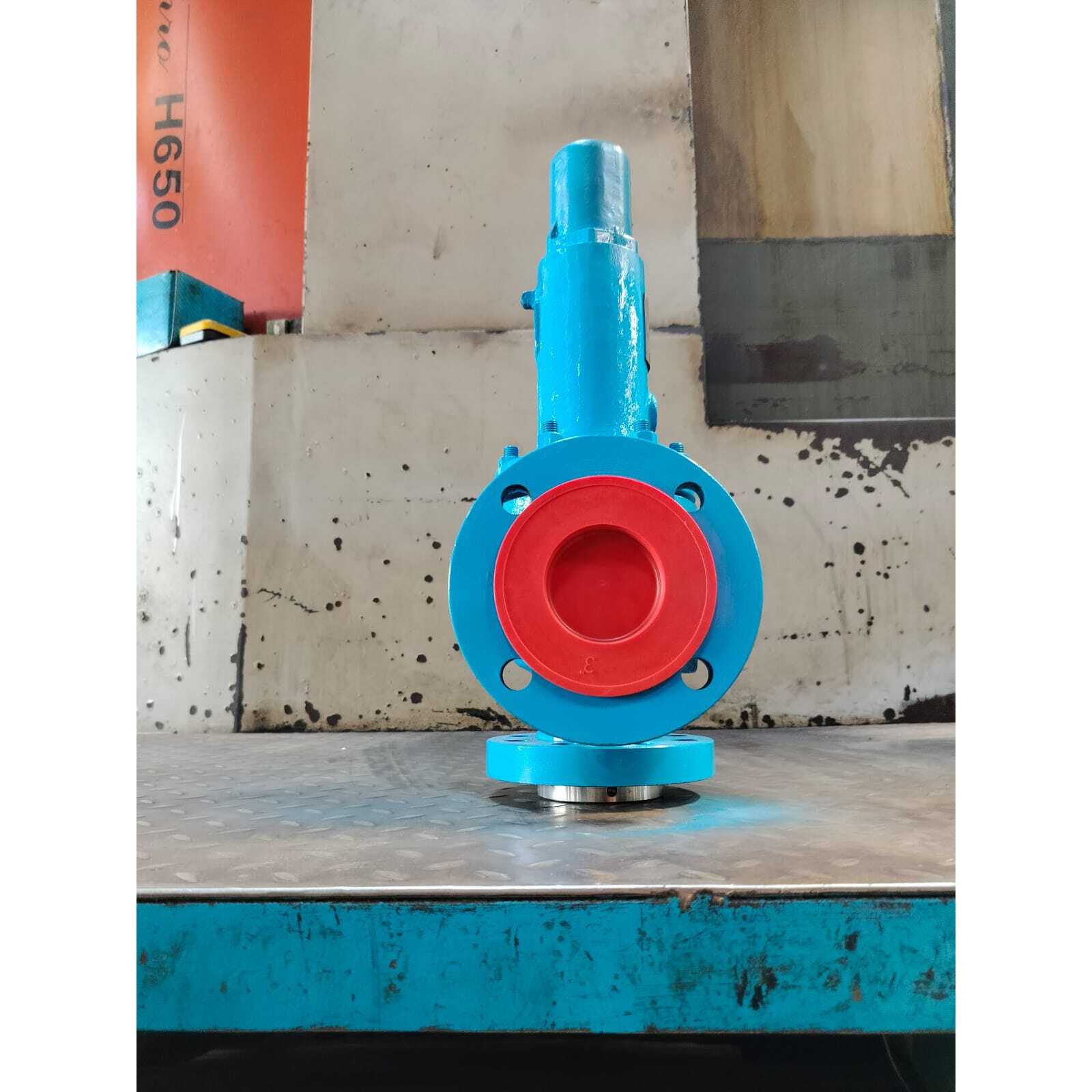 SKYWIN Industrial Safety Relief Valve