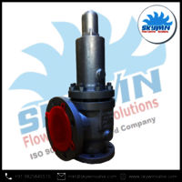 SKYWIN Industrial Safety Relief Valve