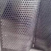 Punching Hole Mesh - Steel, Round Holes 5-10mm, 1-3mm Thick | Industrial Sieving, Filtration, Decorative Applications, Customizable Dimensions
