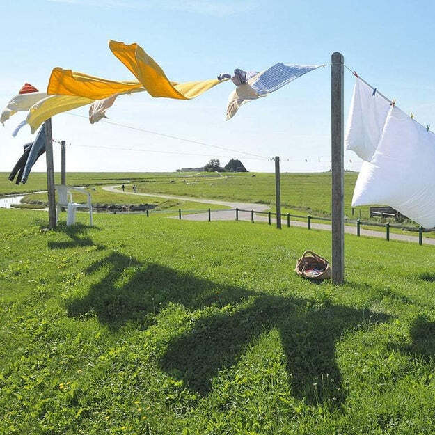 CLOTH DRYING WIRE HIGH QUALITY AGRICULTURE AND GARDENING USE WIRE 10MTR (7403)