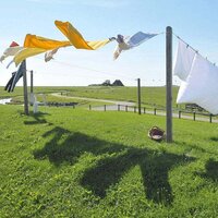 CLOTH DRYING WIRE HIGH QUALITY AGRICULTURE AND GARDENING USE WIRE 10MTR (7403)