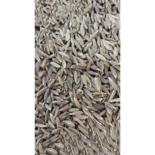 Cumin Seeds