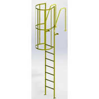Gfrp Cage Ladder - Application: Industrial