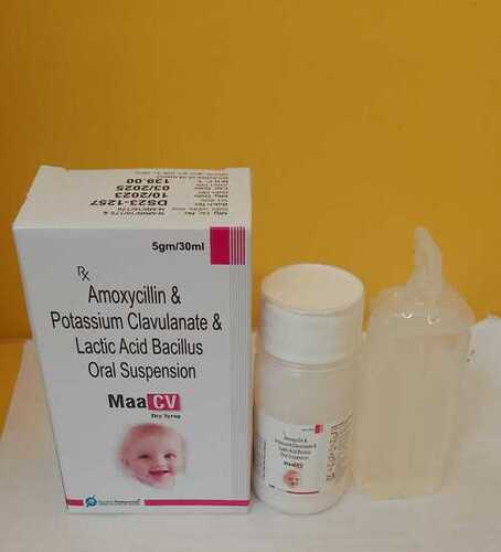 Amoxycillin  Clavulanate  Lactobacillus