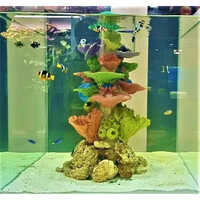 All Kind Of Glass Aquarium
