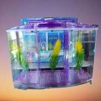 Multi Colour Aquarium Veny's Triple Betta Tank (use For Betta Fish)