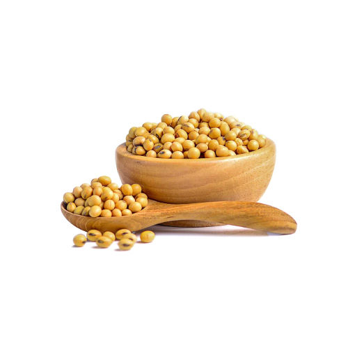 Indian Pulses